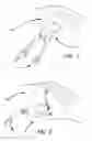 Fig. 02 - Apparatus and method for an improved hand fin