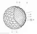 Fig. 01 - Golf ball