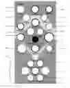 Fig. 01 - Method for playing a baseball-based bean bag tossing game