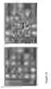 Fig. 19 - Method for implementing a computer game