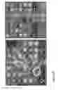 Fig. 27 - Method for implementing a computer game