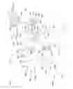 Fig. 03 - Water toy