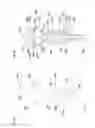 Fig. 05 - Water toy
