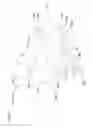 Fig. 22 - Water toy