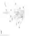 Fig. 49 - Water toy