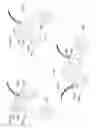 Fig. 58 - Water toy