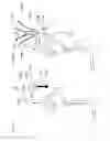 Fig. 63 - Water toy