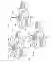 Fig. 69 - Water toy