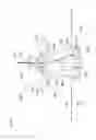 Fig. 24 - Water toy