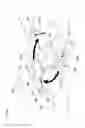 Fig. 33 - Water toy