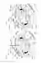 Fig. 45 - Water toy