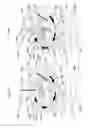 Fig. 47 - Water toy