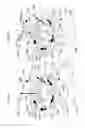 Fig. 48 - Water toy