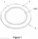 Fig. 02 - Inflatable flying disc