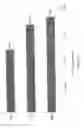 Fig. 05 - EXHAUST SYSTEM FOR A LEAN-BURN INTERNAL COMBUSTION ENGINE INCLUDING SCR CATALYST