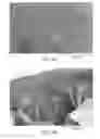 Fig. 05 - Microporous articles with a three-dimensional porous network of acid-sintered interconnected silica nanoparticles and methods of making the same