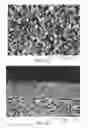 Fig. 06 - Microporous articles with a three-dimensional porous network of acid-sintered interconnected silica nanoparticles and methods of making the same