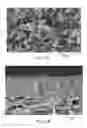 Fig. 07 - Microporous articles with a three-dimensional porous network of acid-sintered interconnected silica nanoparticles and methods of making the same