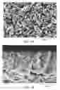 Fig. 08 - Microporous articles with a three-dimensional porous network of acid-sintered interconnected silica nanoparticles and methods of making the same