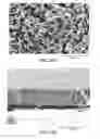 Fig. 09 - Microporous articles with a three-dimensional porous network of acid-sintered interconnected silica nanoparticles and methods of making the same