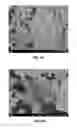 Fig. 07 - Pore opened zeolite nanosheets and their suspensions and methods and uses related thereto