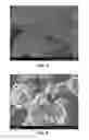 Fig. 08 - Pore opened zeolite nanosheets and their suspensions and methods and uses related thereto