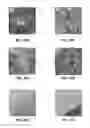 Fig. 12 - Pore opened zeolite nanosheets and their suspensions and methods and uses related thereto