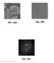 Fig. 16 - Pore opened zeolite nanosheets and their suspensions and methods and uses related thereto