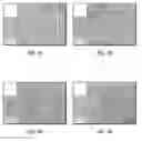 Fig. 06 - Amphiphilic nanosheets and methods of making the same