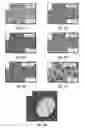 Fig. 07 - Amphiphilic nanosheets and methods of making the same
