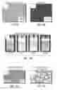Fig. 13 - Amphiphilic nanosheets and methods of making the same