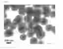 Fig. 05 - Silica coating on nanoparticles