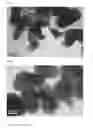 Fig. 06 - Silica coating on nanoparticles