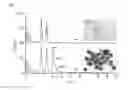 Fig. 07 - Silica coating on nanoparticles