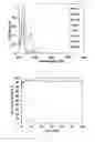 Fig. 40 - Porous cyclodextrin polymeric materials and methods of making and using same