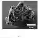 Fig. 46 - Porous cyclodextrin polymeric materials and methods of making and using same