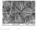 Fig. 62 - Porous cyclodextrin polymeric materials and methods of making and using same