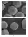Fig. 01 - Hybrid material for chromatographic separations comprising a superficially porous core and a surrounding material