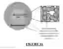 Fig. 15 - Hybrid material for chromatographic separations comprising a superficially porous core and a surrounding material