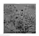 Fig. 01 - Catalyst for carbon monoxide oxidation and process for the preparation thereof