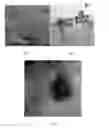 Fig. 03 - Catalyst for carbon monoxide oxidation and process for the preparation thereof