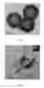 Fig. 02 - Composite material used for catalyzing and degrading nitrogen oxide and preparation method and application thereof