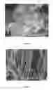 Fig. 03 - Composite material used for catalyzing and degrading nitrogen oxide and preparation method and application thereof
