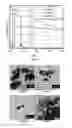 Fig. 03 - COPPER NANOPARTICLES FOR DEGRADATION OF POLLUTANTS