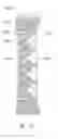 Fig. 09 - Honeycomb fired body, honeycomb filter, and method for producing honeycomb fired body