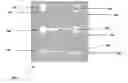 Fig. 01 - MICROFLUIDIC DEVICES FOR THE RAPID DETECTION OF ANALYTES