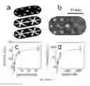 Fig. 06 - MICROFLUIDIC DEVICES FOR THE RAPID DETECTION OF ANALYTES