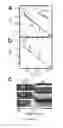 Fig. 13 - MICROFLUIDIC DEVICES FOR THE RAPID DETECTION OF ANALYTES