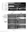 Fig. 14 - MICROFLUIDIC DEVICES FOR THE RAPID DETECTION OF ANALYTES