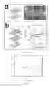 Fig. 16 - MICROFLUIDIC DEVICES FOR THE RAPID DETECTION OF ANALYTES